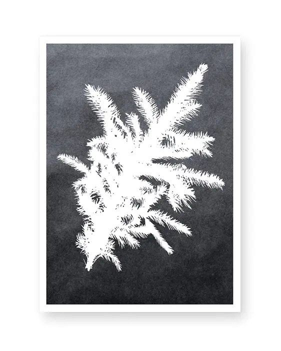 Botanisches Winter Poster mit Tannenzweig - scharz-weiß