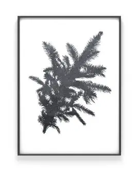 Botanisches Poster Tannenzweig | Weihnachtsposter Schwarz Weiss| Printcandy